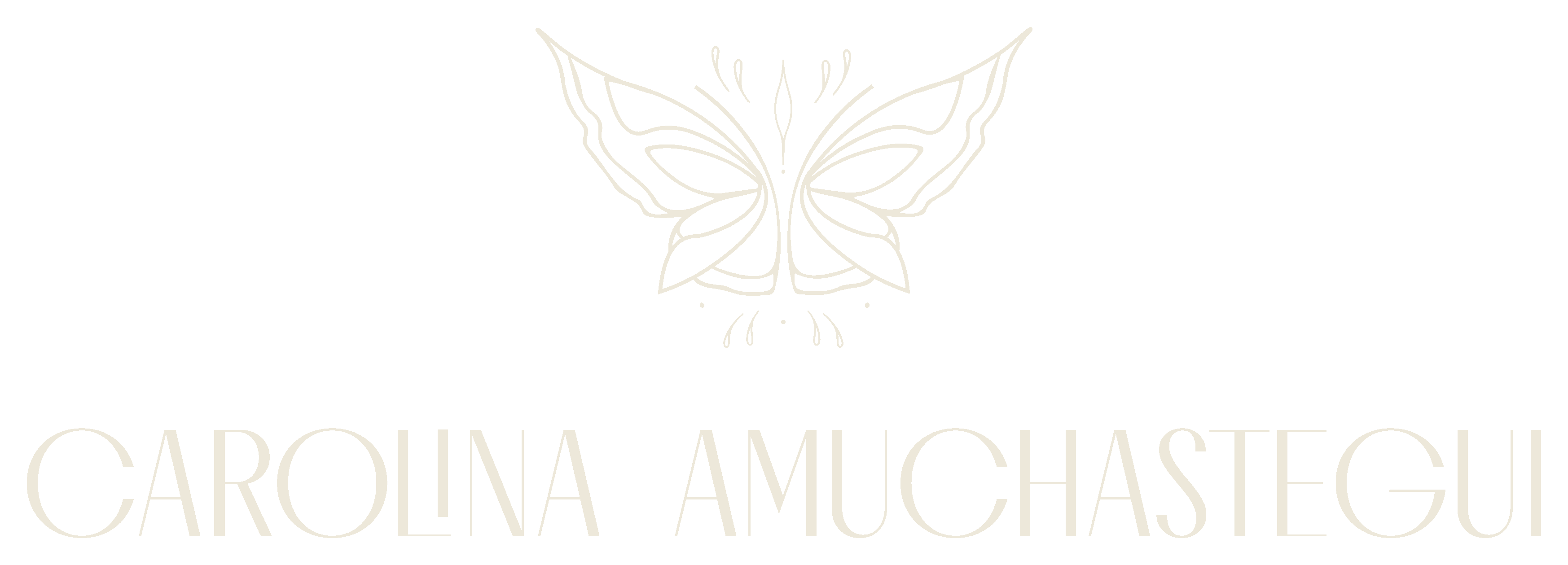Carolina Amuchastegui · Gestión en Salud